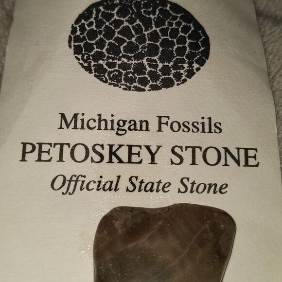 Michigan Petoskey Stone‎ souvenir - Picture 6 of 6
